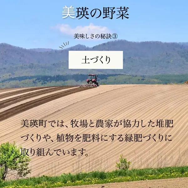野菜セット 【令和9年産予約受付】 5回 定期便 美瑛の四季 鈴蘭（大） 野菜詰め合わせ
