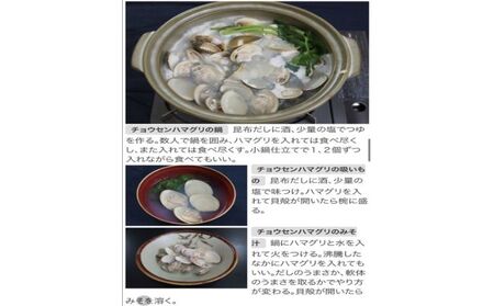 はまぐり ゼンナ 冷冷凍 2kg入り 魚貝類 旨み はまぐり
