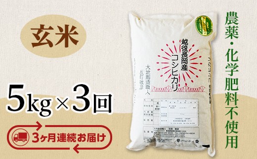 E1-G053B【3ヶ月連続お届け】新潟県長岡産コシヒカリ玄米5kg