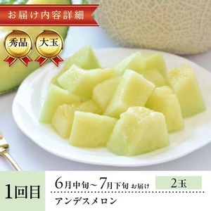 SE0351　【3回定期便】酒田のメロン三昧お楽しみセット2025 (青肉メロン、赤肉メロン、アールスメロン)