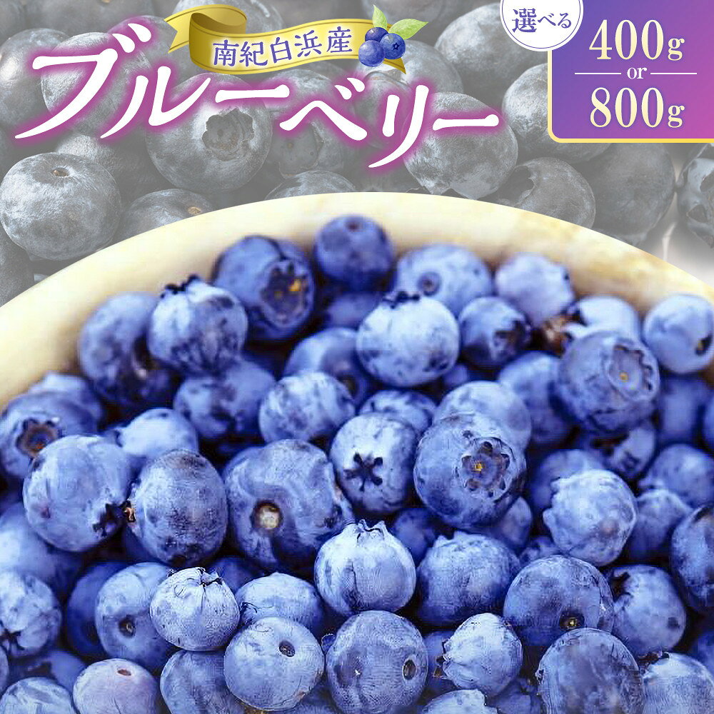 【ふるさと納税】【選べる容量】南紀白浜産ブルーベリー 400g or 800g | 白浜町 フルーツ ベリー系 甘酸っぱい ブルーベリー 朝食 デザート 人気 おすすめ ブルーベリー 果物 スイーツ 和歌山産 産地直送 冷凍保存 お取り寄せ 送料無料 ふるさと納税