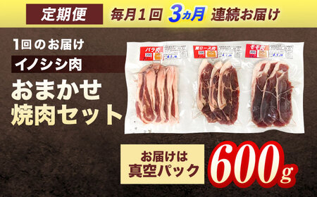 【3回定期便】天然イノシシ肉 おまかせ焼肉セット 600g (ロース・モモ・バラ) / ジビエ 猪肉 いのしし肉 ジビエ肉 肉じゃが用肉 イノシシ いのしし焼肉 長崎ジビエ 猪 ぼたん鍋 鍋肉 猪鍋 