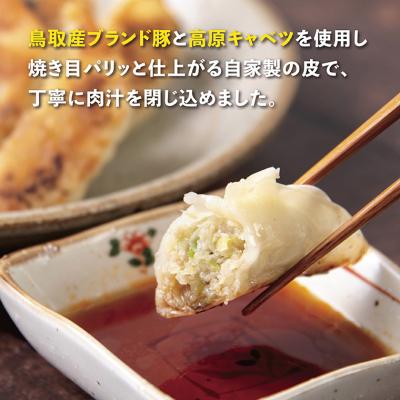 ふるさと納税 鳥取市 鳥取餃子 鳥取県産ブランド豚使用 60個セット (30個入り×2パック) |  | 01