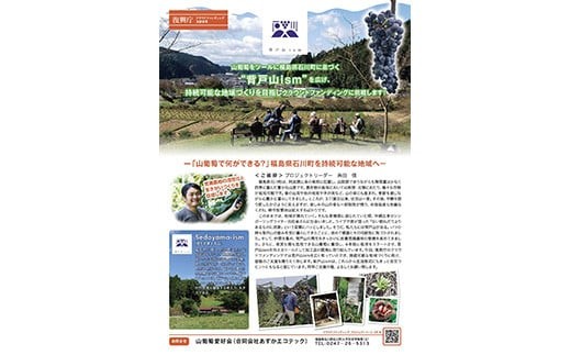 ＜耕作放棄地を活用して生まれた＞高糖度山葡萄100%ジュース 500ml