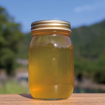 ふるさと納税 美濃市 600g 深田養蜂の天然蜂蜜 国産蜂蜜 非加熱 生はちみつ 岐阜県 美濃市産 初夏 B5 |  | 01