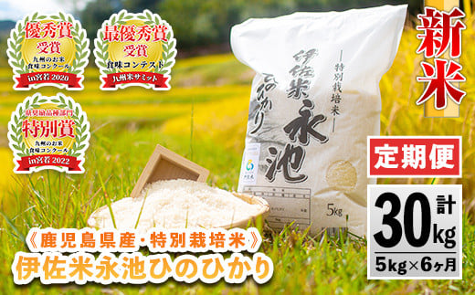 
D2-04 【定期便】令和6年産 新米 特別栽培米 伊佐米永池ひのひかり(計30kg・5kg×6ヶ月) ふるさと納税 伊佐市 特産品 鹿児島 永池 お米 米 白米 精米 伊佐米 九州米サミット 食味コンテスト 最優秀賞受賞 ヒノヒカリ 定期便【エコファーム永池】
