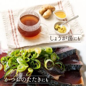 国産 佐喜浜生姜 約2kg 生姜 ショウガ 薬味 料理 家庭用 農家直送 旬 野菜 生姜焼き 高知県 室戸市