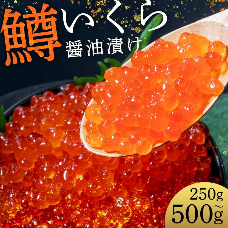 【ふるさと納税】＼選べる容量！／鱒いくら醤油漬け 250g・500g パック 小分け 海鮮 魚介 グルメ 魚卵 人気 ご飯のお供 ごはん 米 いくら丼 ギフト 年末年始 北海道 釧路市 F5F-0174var
