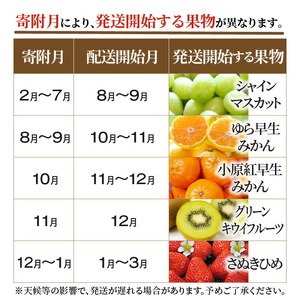 産地厳選三豊のフルーツ５回定期便　C_M64-0071