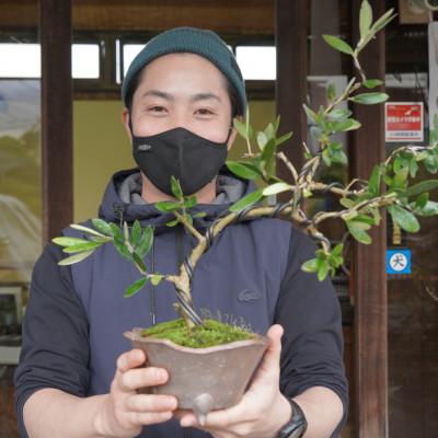 ふるさと納税 韮崎市 オリーブの盆栽教室 体験チケット 　完成した盆栽はお持ち帰り頂けます　【山梨県韮崎市秋山盆栽園】 |  | 03