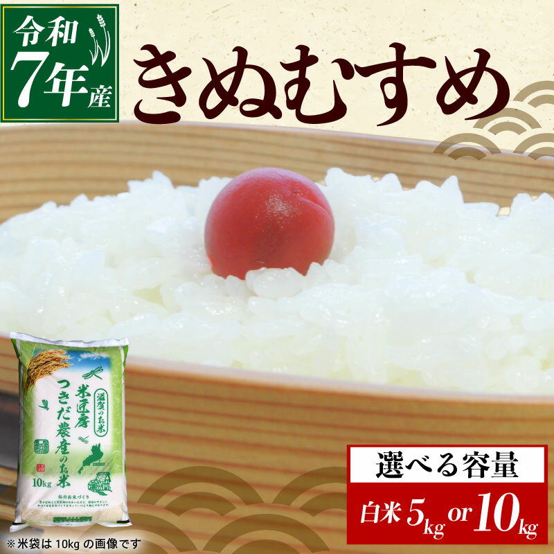 【ふるさと納税】 令和7年産 きぬむすめ 白米 選べる 容量 5kg×1袋 10kg×1袋 米 コメ お米 新米 5キロ 10キロ 米5kg 米10kg ご飯 ごはん キヌムスメ おにぎり お弁当 5kg 10kg 5 10 滋賀 彦根