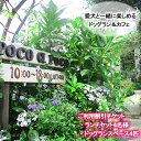 【ふるさと納税】 愛犬と楽しめるドッグランカフェ「ランチ4名様と広さ150坪のドッグランスペース 4匹以上可能 愛犬用プリン」ご利用チケット 岡山県 倉敷市 Poco a Poco ポコアポコ　【 ドッグカフェ お出かけ 犬連れ 食事 ご飯 自然豊か 岡山の食材 犬同伴OK 】