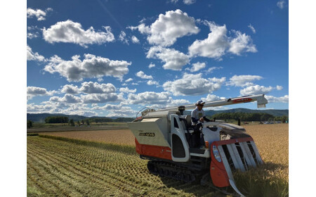 　【 令和7年産 】 特別栽培米 ゆめぴりか （ 玄米 ） 特Aランク  真空パック 20kg 5㎏×4袋 セット 北海道 鷹栖町 まきファームたかす 米 コメ こめ ご飯 玄米 お米 ゆめぴりか コ