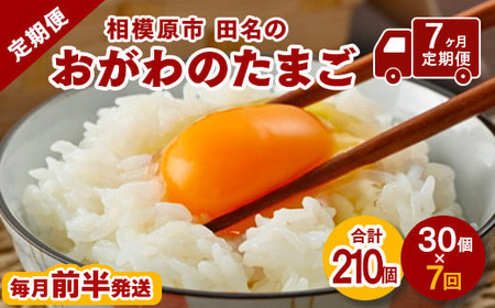 【7ヶ月定期便】【毎月前半発送】相模原市田名のおがわのたまご　ピンク卵 Mサイズ 30個(27個＋割れ補償3個)×7か月 | 卵 鶏卵 玉子 たまご 生卵 国産 濃厚 コク 旨味 旨み