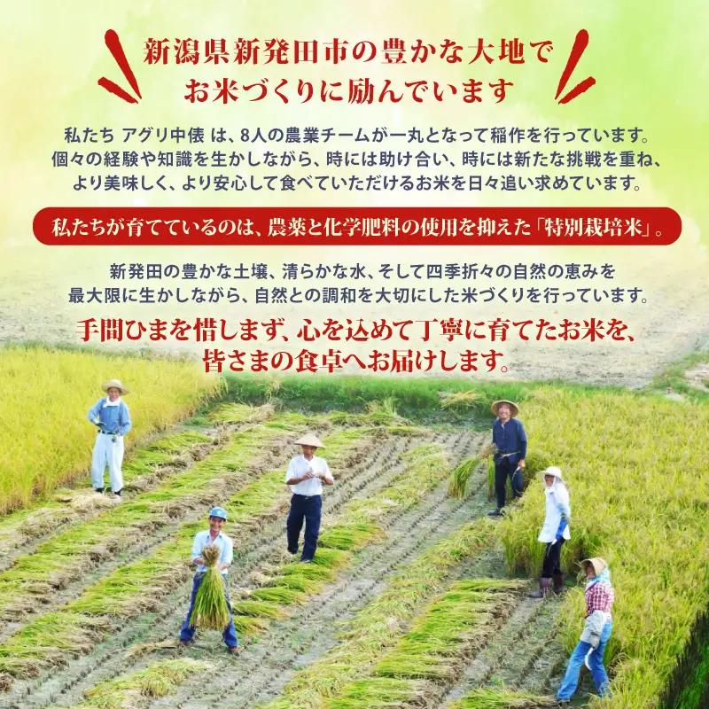 【コンテスト入賞米】 新米 特別栽培米 コシヒカリ 5kg  特栽米 新潟県産コシヒカリ 新発田産 新潟 米 アグリ中俵 新潟県 新発田市 【令和8年産 先行予約 2026年11月以降順次発送 】 n