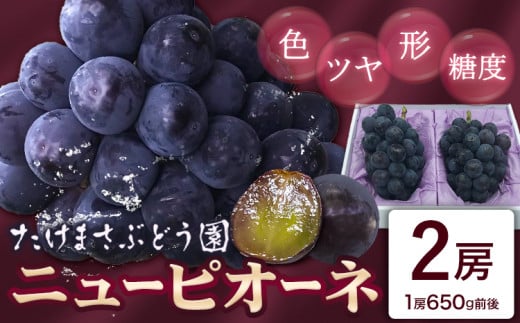 【2026年先行予約】ぶどう ニューピオーネ 2房(1房650g前後) たけまさぶどう園 《2026年7月中旬-10月上旬頃出荷》岡山県 浅口市 送料無料 フルーツ 果物 岡山県産 青果物 お取り寄せフルーツ【配送不可地域あり】(離島)