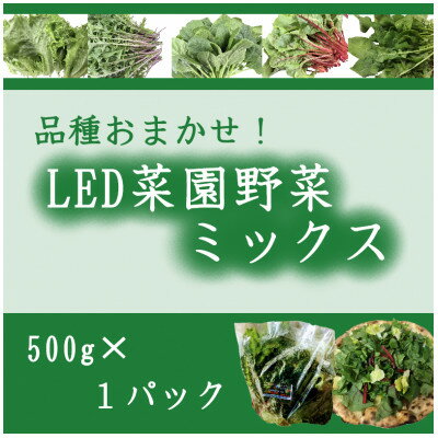 【ふるさと納税】品種おまかせ!LED菜園野菜ミックス 500g×1パック【配送不可地域：離島・北海道・沖縄県・中国・四国・九州】【1668702】