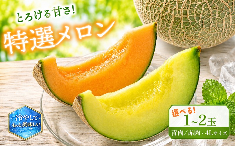 
                  特選 メロン 1玉 ～ 2玉 4L 数量限定 果実 新鮮 くだもの めろん 品種おまかせ 青肉 ミラノ春Ⅱ 青肉メロン 赤肉 赤肉メロン ホノカ レノン 品種 おまかせ フルーツ 果物 期間限定 フルーツ 季節限定 果物 産地直送 旬 果物 滋賀県 竜王町 ギフト 贈り物 プレゼント 送料無料 竜王 令和8年 甘い あまい おいしい メロン めろん 2026年
                