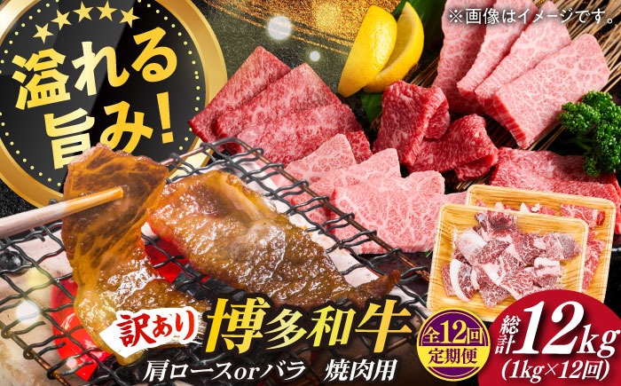 【全12回定期便】【訳あり】博多和牛 焼肉 切り落とし1kg（500g×2p）《築上町》【MEAT PLUS】肉 お肉 牛肉[ABBP156]