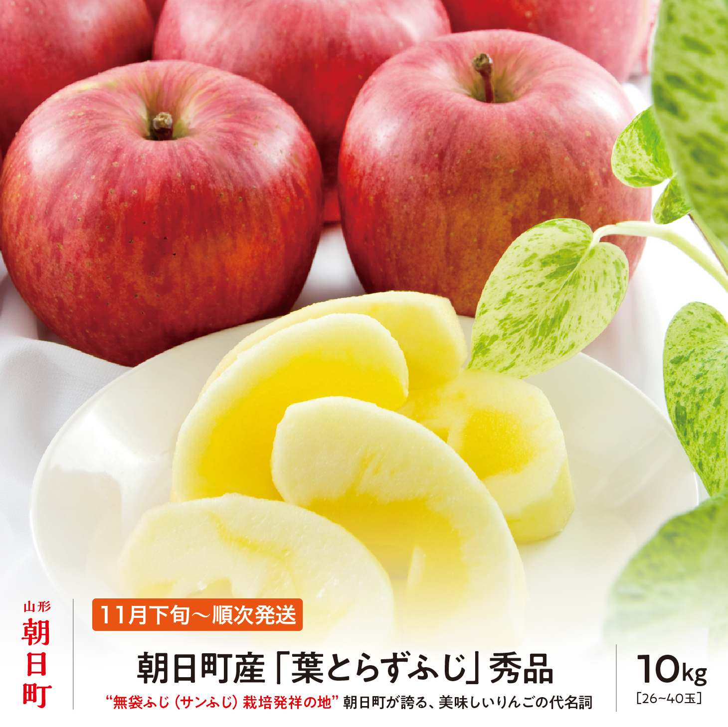 ＜ 先行予約 ＞ りんご 葉取らず ふじ 秀品 約 10kg 26～40玉 【2026年11月下旬から12月下旬発送】 山形県 朝日町産 山形県産 果物 フルーツ リンゴ 林檎 秋 冬