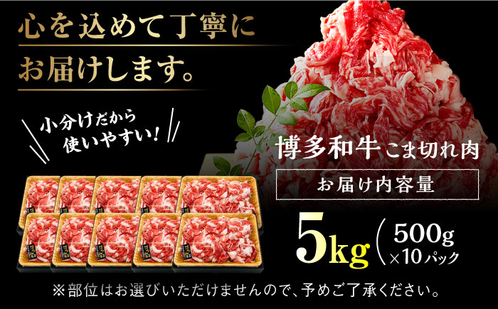 【訳あり】博多和牛 切り落とし 5kg（500g×10p）＜株式会社MEAT PLUS＞那珂川市 肉 牛肉 黒毛和牛 牛切り落とし [GBW054]