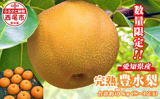 
                  【数量限定】〈きらり園〉完熟 豊水梨 5kg・K086-19
                