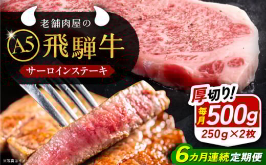 【6回定期便】 牛肉 飛騨牛 サーロインステーキ (A5ランク) 1パック (250g×2枚) / 和牛 国産 霜降り 肉 にく 牛肉 国産 和牛 高級肉 霜降り 産地直送 贈答用 ギフト ブランド牛 岐阜県 希少部位 岐阜県産 人気 お取り寄せ / 恵那市 / 岩島屋 [AUAJ028]
