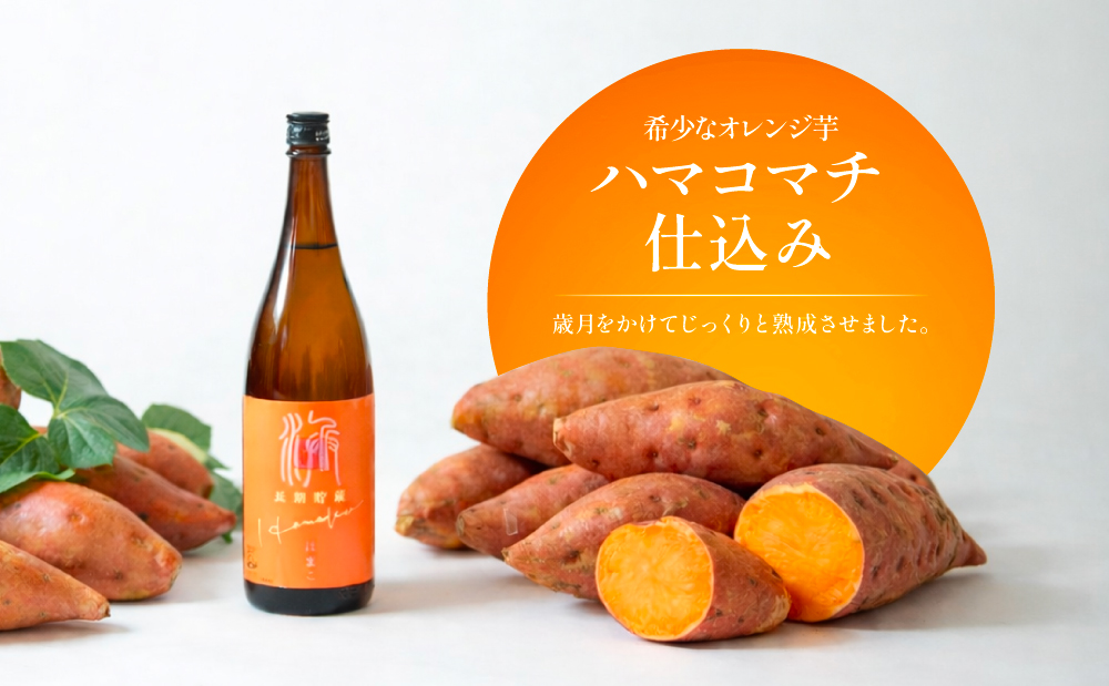 【本格芋焼酎】吹上焼酎 はまこ長期貯蔵（1.8L×2本）一升瓶 本格焼酎 いも焼酎 芋焼酎 はまこ はまこまち お湯割り ロック 水割り ソーダ割り こだわり 匠の技 おすすめ 人気 25度 家飲み 宅飲み 飲み比べ 吹上焼酎 南さつま市