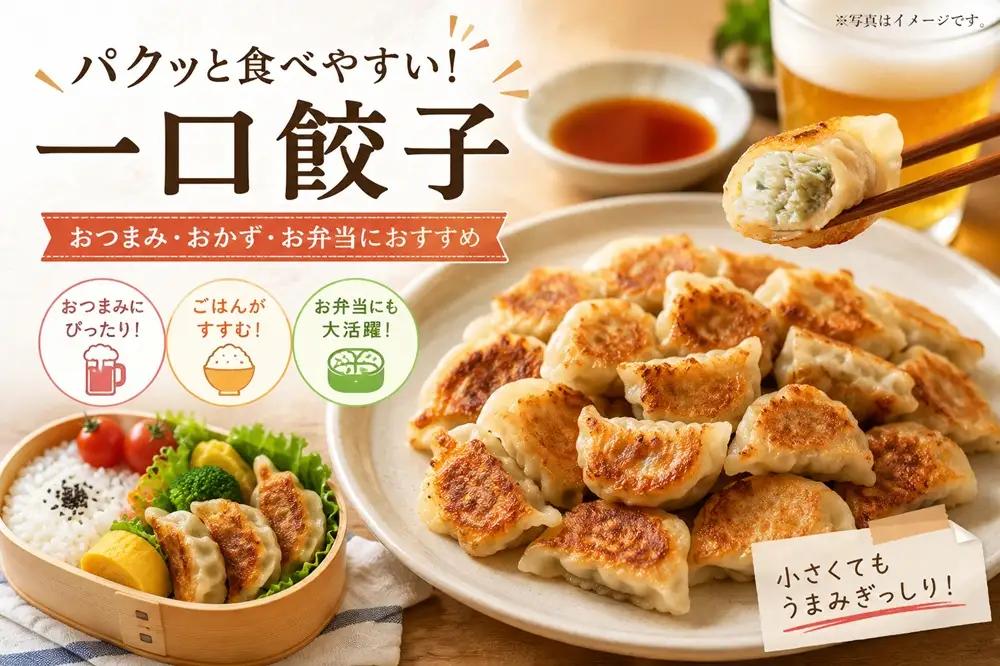 A1-0449／桜島美湯豚　ひと口餃子 10P（計150個）