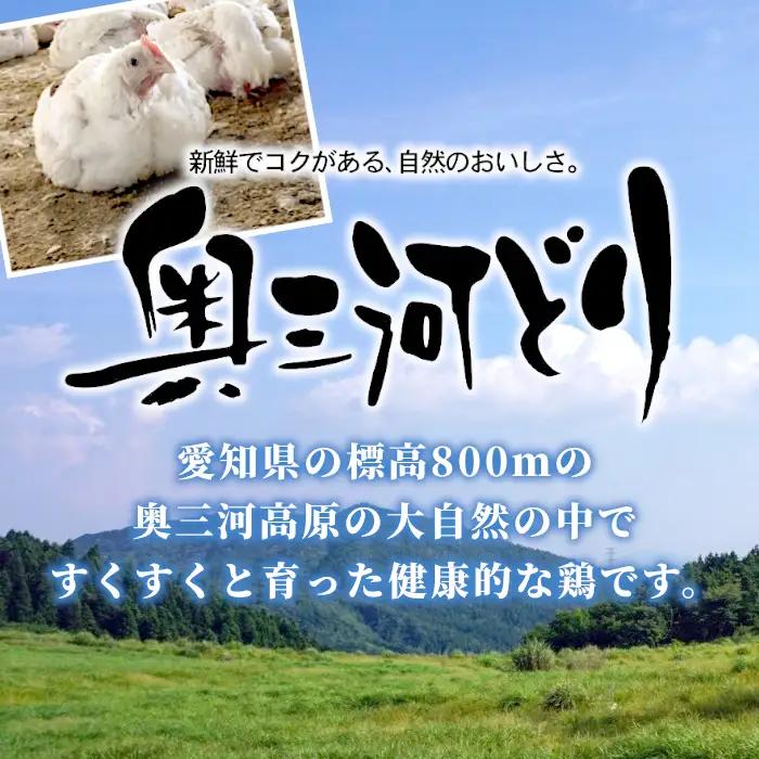 愛知県産 銘柄鶏 奥三河どり 丸鶏 １羽 2ｋｇ 中抜き 国産 丸ごと一羽 冷凍 生 生鶏 チキン クリスマス パーティー バーベキュー BBQ アウトドア キャンプ ダッチオーブン チキン 鶏肉 鶏