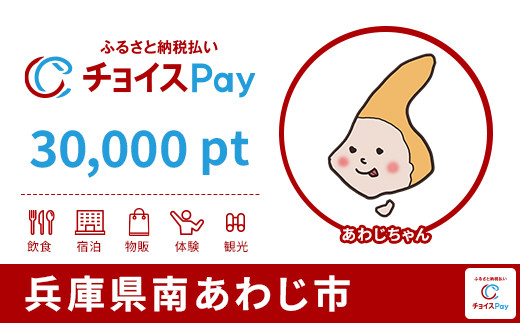 
            南あわじ市チョイスPay 30,000pt【会員限定のお礼の品】
          