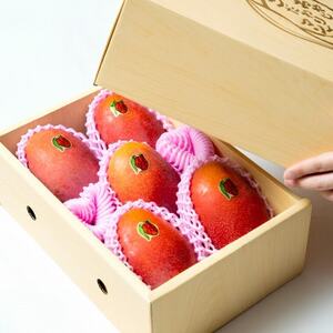 【2026年発送・糖度15度以上保証】頑固おやじのこだわりマンゴー匠 大玉2kg(4～5玉)【配送不可地域：離島】【1675677】