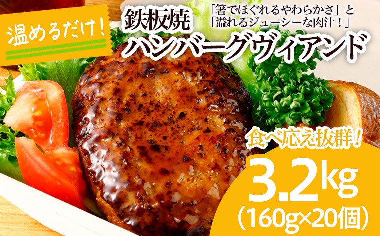 
食べ応え抜群！JGハンバーグヴィアンド 3.2kg(160g×20個) FZ22-405
