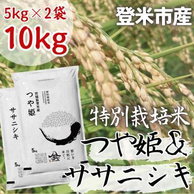 ふるさと納税 登米市 【特別栽培米】宮城県登米市産ササニシキ・つや姫精米各5kg(計10kg)