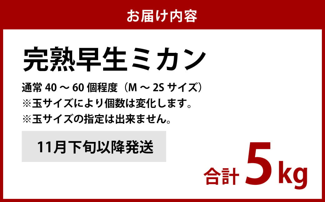 先行予約 完熟 早生みかん 約5kg箱 柑橘 ミカン【11月下旬以降発送予定】