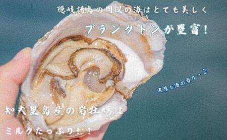 【知夫里島産 岩牡蠣 2kg】ブランド 岩牡蠣 生食可 牡蛎 牡蠣 かき カキ 岩牡蠣 いわがき 海鮮 海産物 海の幸 シーフード 魚貝類 父の日 母の日 バーベキュー ギフト 濃厚 クリーミー