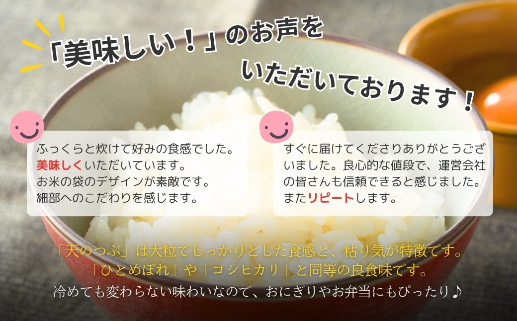 福島県南相馬産「天のつぶ」ふっくらパックごはん 150g×24 パックライス【0400301】