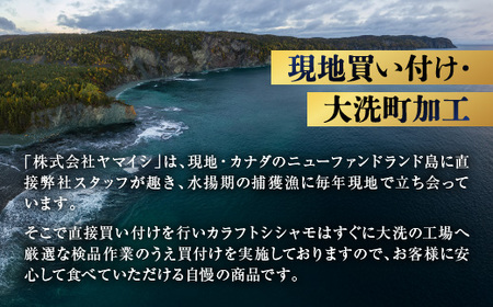 ししゃも雄雌食べ比べ 2ｋｇ セット 訳アリ シシャモ ししゃも カラフトししゃも 大洗 規格外 訳あり わけあり 傷_AV013