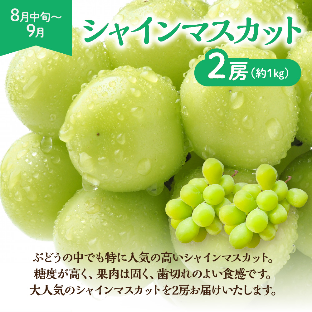 【定期便/年4回】JAむなかた厳選!人気のフルーツ定期便【ほたるの里】_HB0140