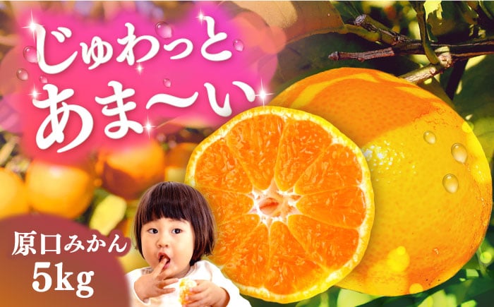 
            原口みかん 5kg（箱込み） 長与町/岩永農園 [EAZ004]
          