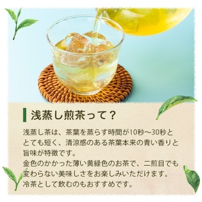 【2024年産】浅蒸し煎茶(100g×3袋)【若蒸し煎茶 】【合計300g】 A3-5【1496114】