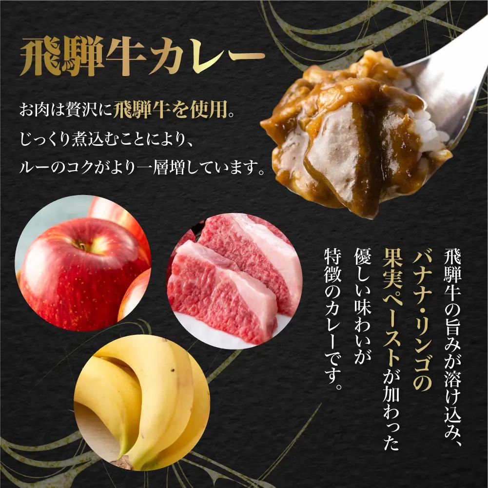 飛騨牛カレー（160ｇ×40袋）| 訳あり ご当地 ビーフカレー レトルト 人気 飛騨高山 DC009VC13
