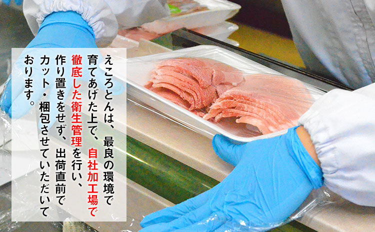 えころとん・ 大満足の 豚 肉 4種計1150g　豚肉 しゃぶしゃぶ セット《60日以内に出荷予定(土日祝除く)》 熊本県産 有限会社 ファームヨシダ 冷凍