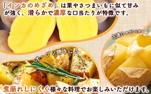【新じゃが】インカのめざめ混合5kg