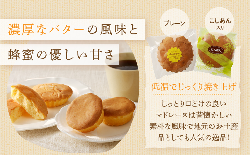 【2週間以内発送】老舗菓子舗のマドレーヌ2種セット(合計10個)_T035-0061【焼き菓子 スイーツ 詰め合わせ 洋菓子 人気 ギフト 食品 贈り物 お土産 デザート 加工品 送料無料 プレゼント
