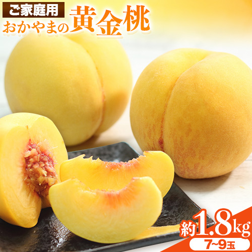 【2026年発送先行予約】ご家庭用 おかやまの黄金桃  約1.8kg 令和8年産 先行予約 《2026年8月下旬-9月中旬頃出荷》 桃 黄桃 黄金桃 晴れの国おかやま館 フルーツ 果物 果実 岡山県 笠岡市---A-180d---