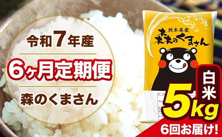 
             令和7年産 森のくまさん 白米 5kg 5kg×1袋 計6回お届け 《お申込み翌月から出荷》 お米 こめ 熊本県産 ご飯 備蓄
          