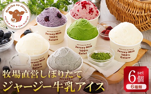 【ジャージー牛乳使用】まきばのジャージーアイス人気スタンダードセット6個入り F21C-033