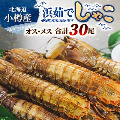 ふるさと納税 小樽市 小樽産 浜茹でしゃこ オス5尾×3パック・メス5尾×3パック しゃこを刺身・天ぷら・海鮮丼の具に!