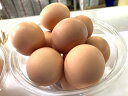【ふるさと納税】ひまわりたまご（2段）※破卵補償10個含（冷蔵）